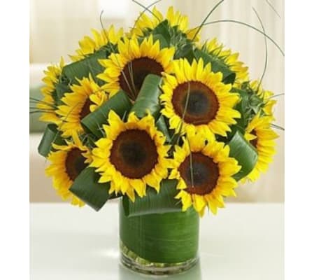 Sun-Sational Sunflowers Arrangement