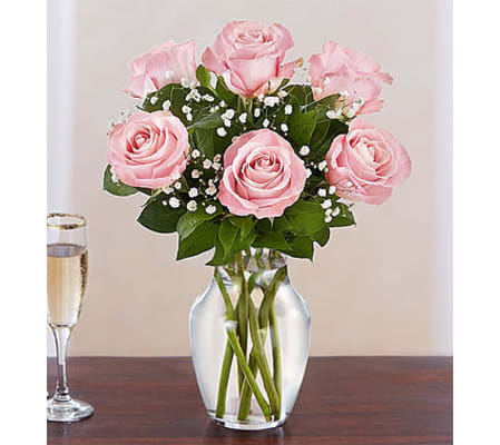 Pink Rose Six