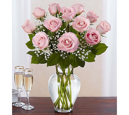Pink Roses One Dozen