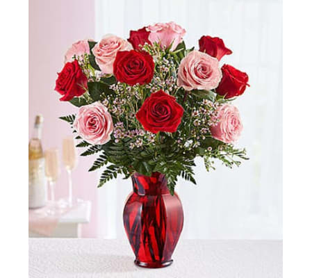 One Dozen Pink and Red Roses in Red Vase
