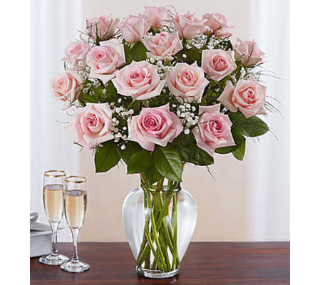 Pink Roses Eighteen