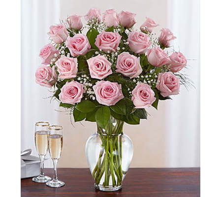 Pink Roses Two Dozen