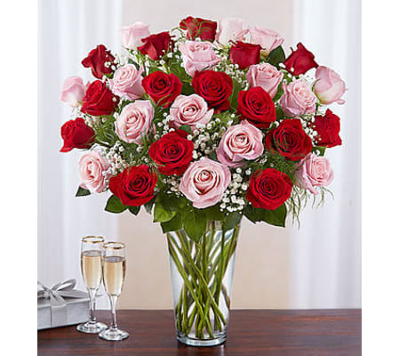 Pink and Red Roses Three Dozen