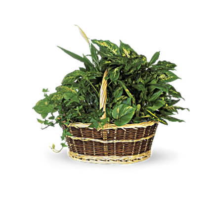 Large Garden Basket