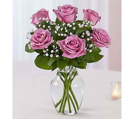 Lavender Roses Six