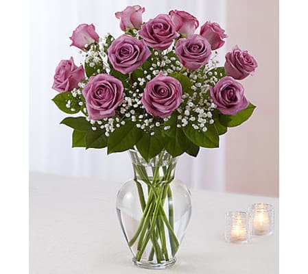 Lavender Roses One Dozen