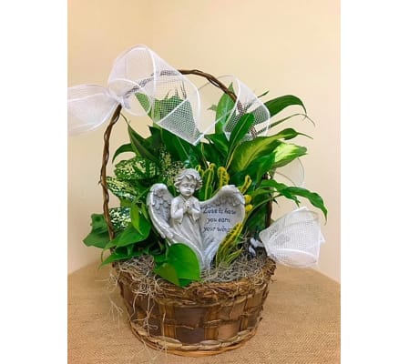 Sympathy Dish Garden With Angel Medium