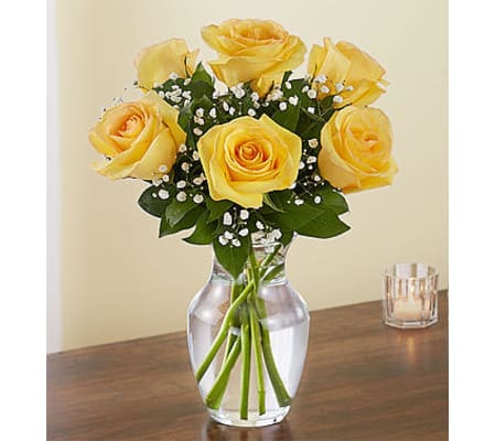 Yellow Roses Six