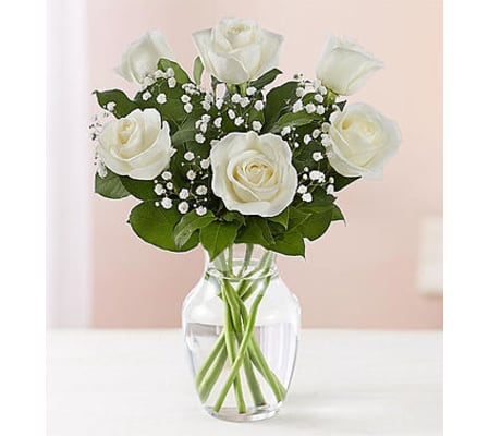 White Rose Six
