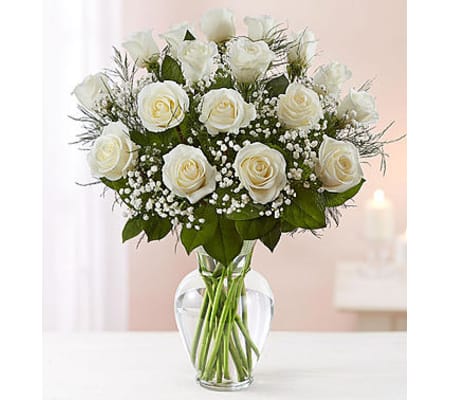 White Roses Eighteen