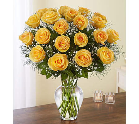 Yellow Roses Two Dozen