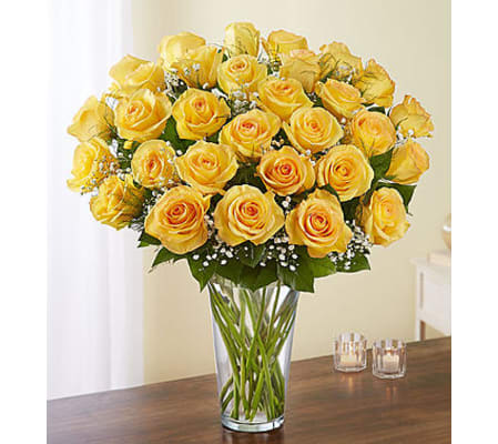 Yellow Roses Three Dozen