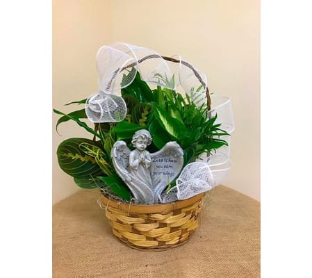 Sympathy Dish Garden With Angel Small