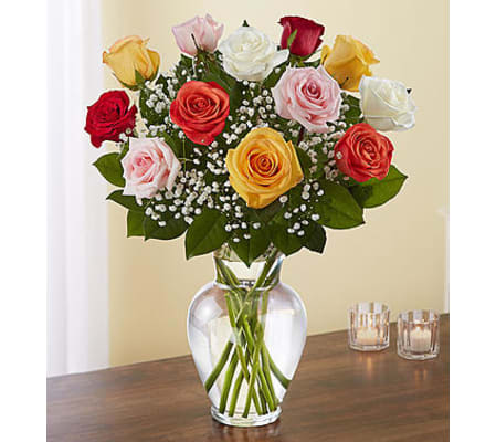 Assorted Roses One Dozen