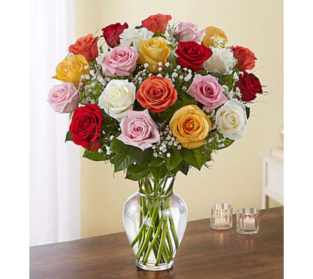 Assorted Roses Two Dozen