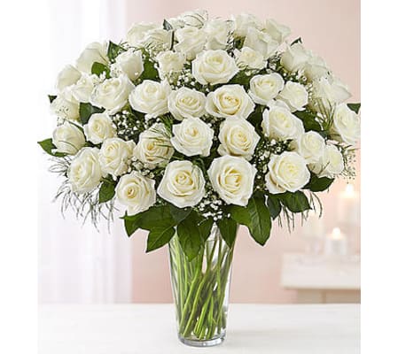White Roses Four Dozen