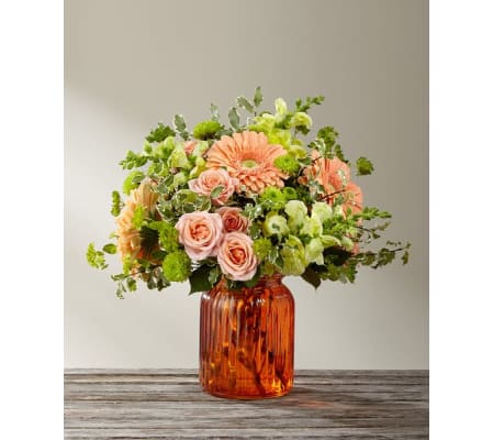 Peachy Keen By Better Homes & Gardens