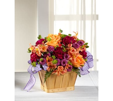 The New Dream Basket