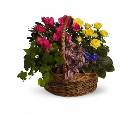 The Blooming Garden Basket