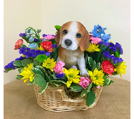 Beagle in a Basket