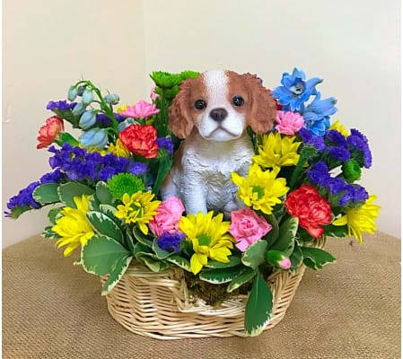 King Charles in a Basket