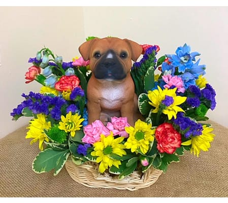 Sassy Staffordshire in a Basket
