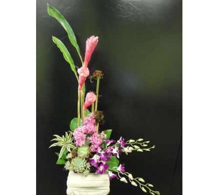 Marivels Tropical Beauty