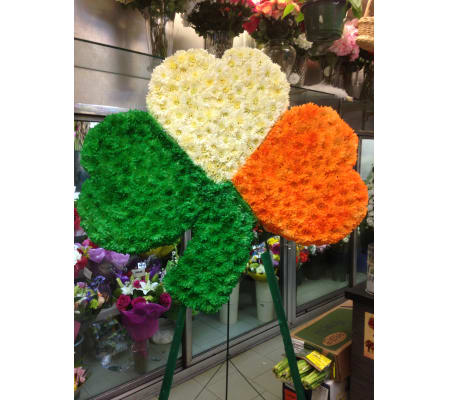 Shamrock  in Irish Flag colours