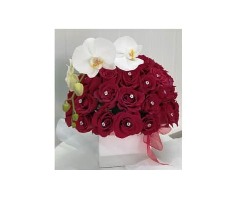White and Red Love