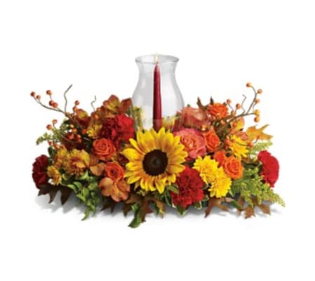 Delight Fall