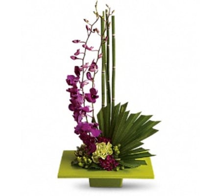 Zen Arrangement