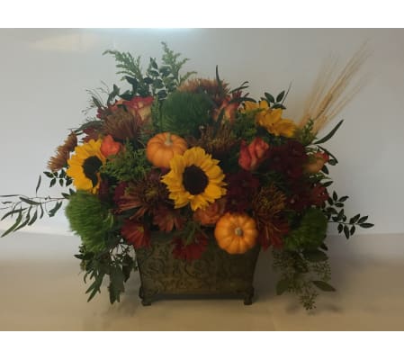 full of fall