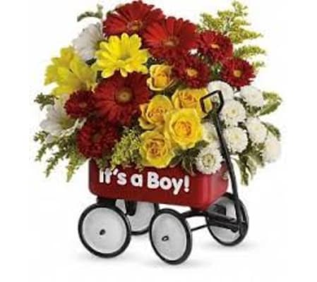 TF Baby's Wow Wagon