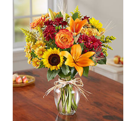 Fields of Europe™ for Fall by 1800 Flowers