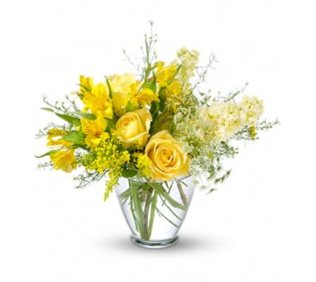 DELICATE YELLOW HUES
