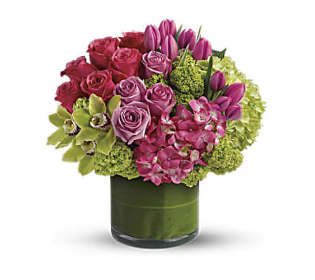 Sensational Blooms