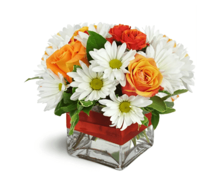 Vivid Glow™ by Lovingly