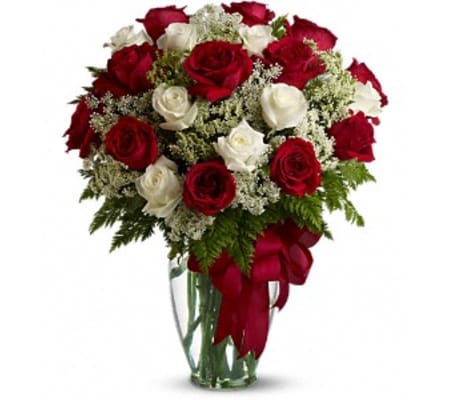 Love's Divine - Long Stemmed Roses