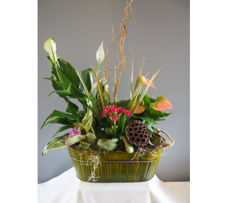 Blooming Everyday Planter