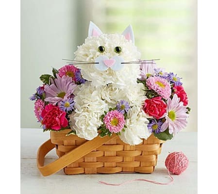 Fabulous Feline 1