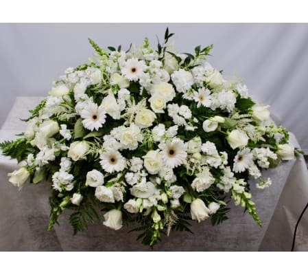 Stunning White