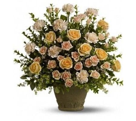 Rose Remembrance