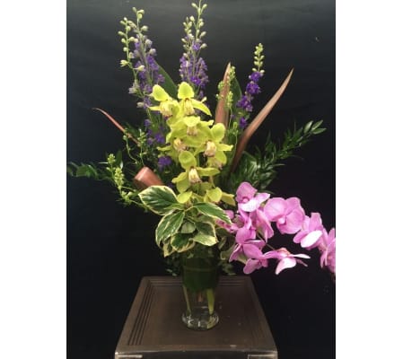 Phaleonopsis & Cymbidium