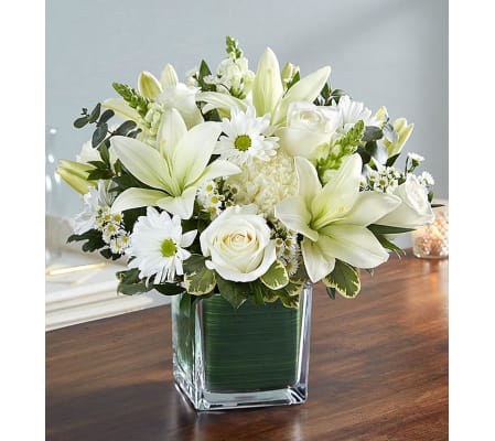 Healing Tears White