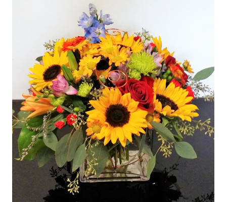 Fall Splendor in Cube
