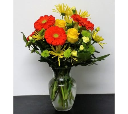 Orange and Yellow Vibrancy