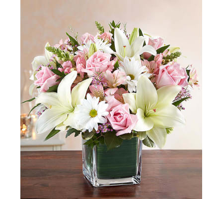 Healing Tears of pink and white