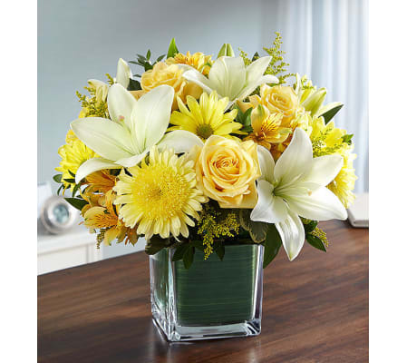 Healing Tears in Yellow and White