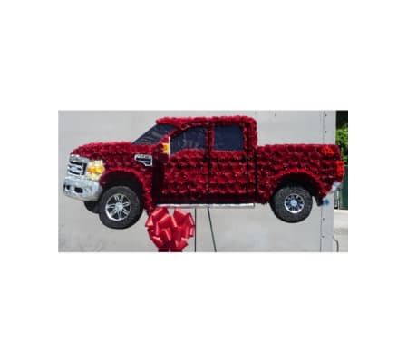CUSTOM FORD TRUCK