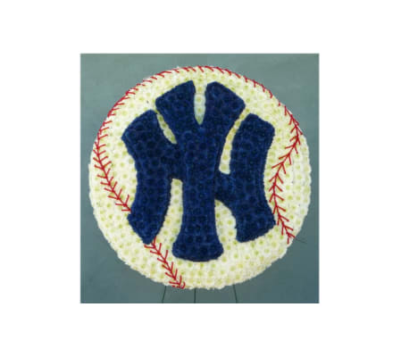 NY YANKEES BASEBALL